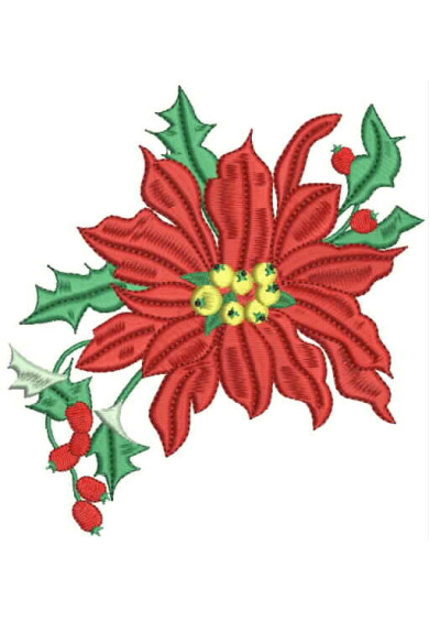 Chr071 - 7 X 8  Poinsettia